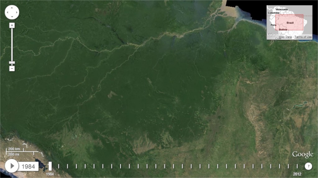 foret amazonienne taille en 1984